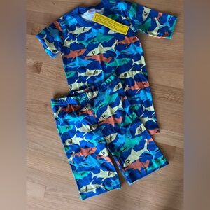 NWT Hanna Andersson boy’s pajamas.  Made of soft organic cotton size - 14/16